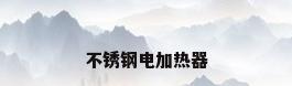 不锈钢电加热器