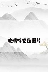 玻璃棉卷毡图片