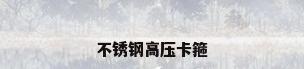 不锈钢高压卡箍
