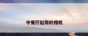 中餐厅赵薇的相机