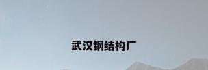 武汉钢结构厂