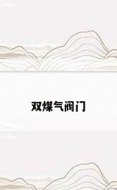双煤气阀门