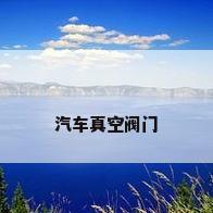 汽车真空阀门