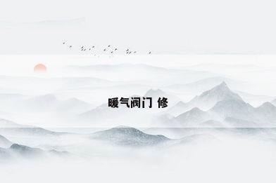 暖气阀门 修