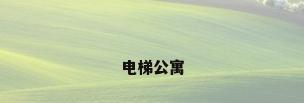 电梯公寓