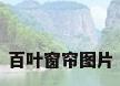 百叶窗帘图片