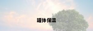 罐体保温