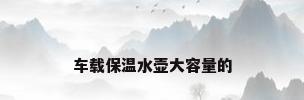 车载保温水壶大容量的