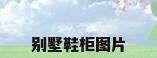 别墅鞋柜图片