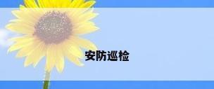 安防巡检