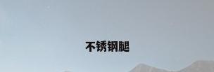 不锈钢腿