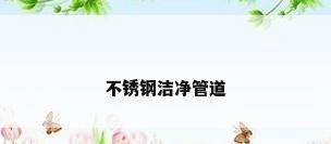 不锈钢洁净管道