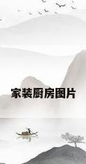 家装厨房图片