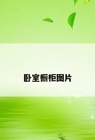 卧室橱柜图片
