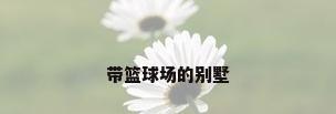 带篮球场的别墅
