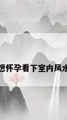 想怀孕看下室内风水