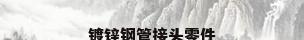 镀锌钢管接头零件