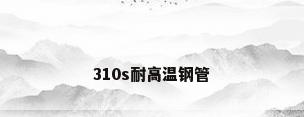 310s耐高温钢管