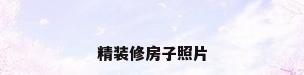 精装修房子照片