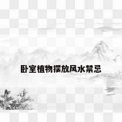 卧室植物摆放风水禁忌