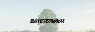 最好的衣柜板材