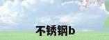 不锈钢b