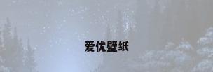 爱优壁纸