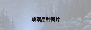 玻璃品种图片