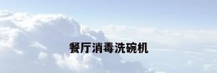 餐厅消毒洗碗机