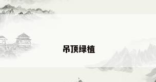 吊顶绿植