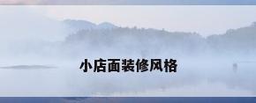 小店面装修风格