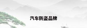 汽车防盗品牌