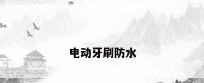 电动牙刷防水