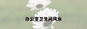办公室卫生间风水