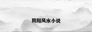 阴阳风水小说