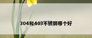 304和403不锈钢哪个好