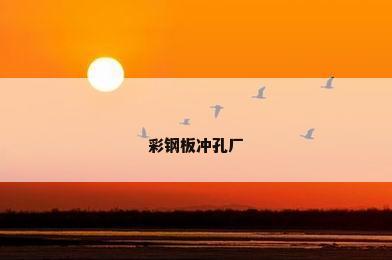 彩钢板冲孔厂