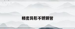 精密异形不锈钢管