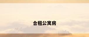 合租公寓房