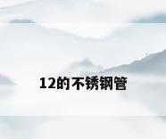 12的不锈钢管