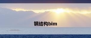 钢结构bim