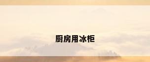 厨房用冰柜