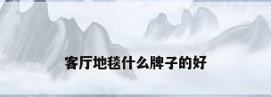 客厅地毯什么牌子的好