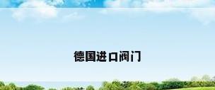 德国进口阀门