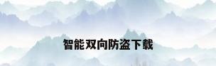 智能双向防盗下载