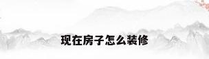 现在房子怎么装修