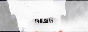 待机壁纸
