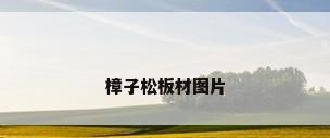 樟子松板材图片