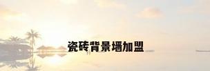 瓷砖背景墙加盟