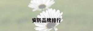 安防品牌排行